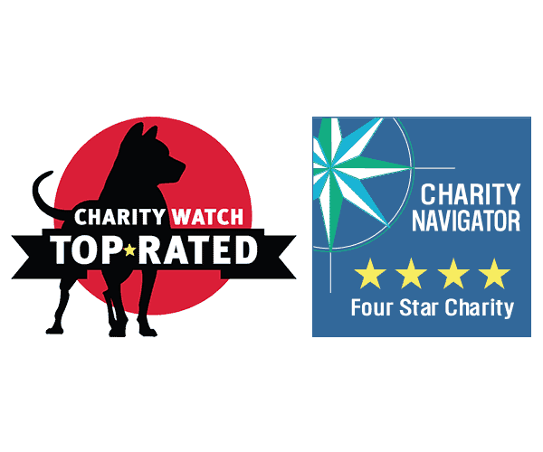 Charity Watch and Charity Navigator-Seal